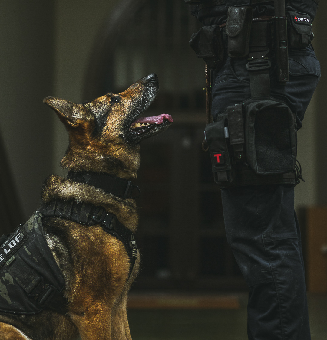 UNITED K9 EVENT QUEBEC